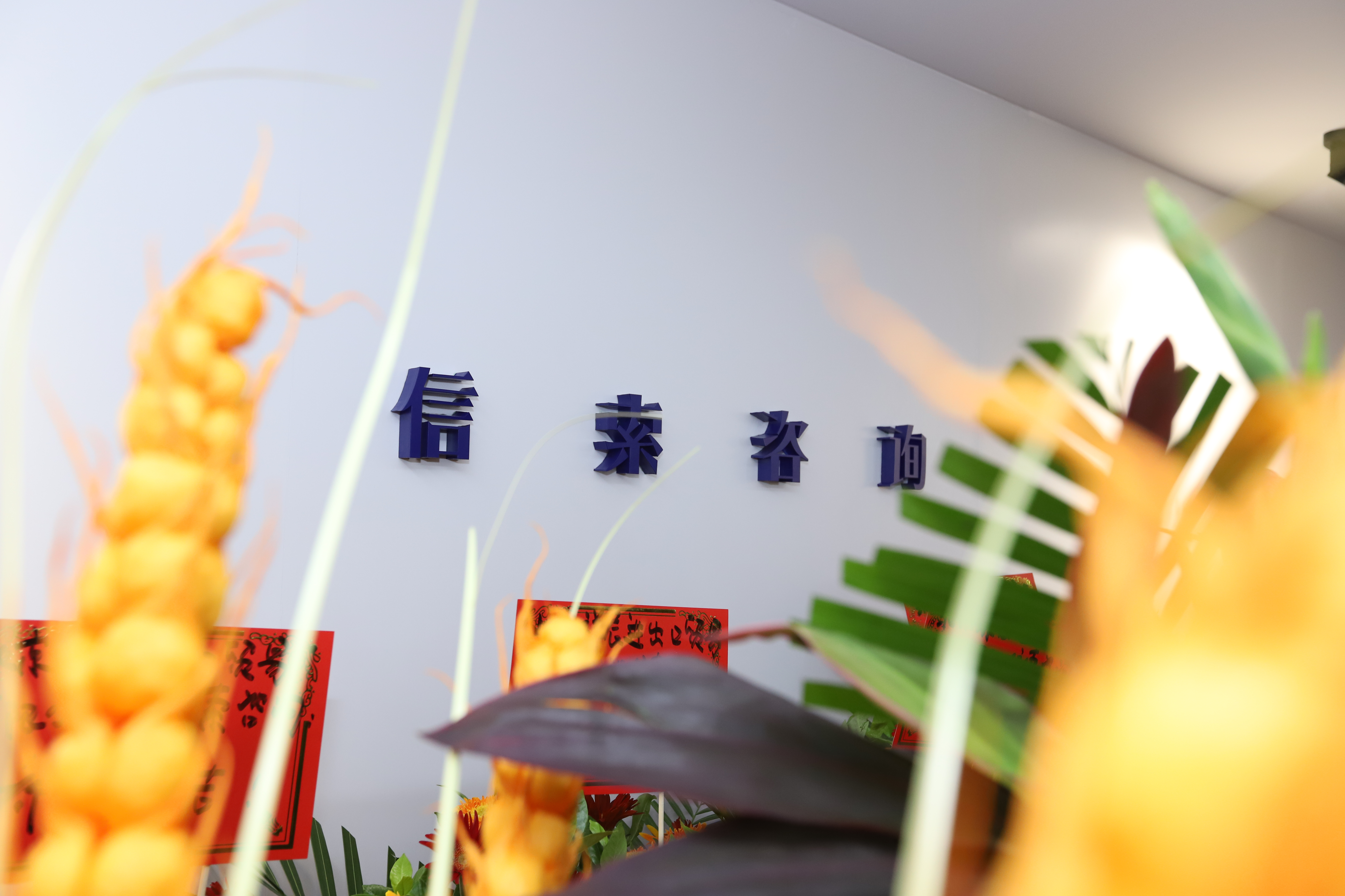 mansion88·明升(中国集团)官方网站